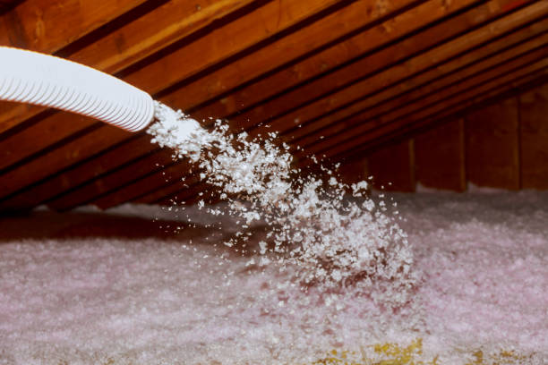 Best Geographic-Specific Insulation Services in Hurlburt Field, FL