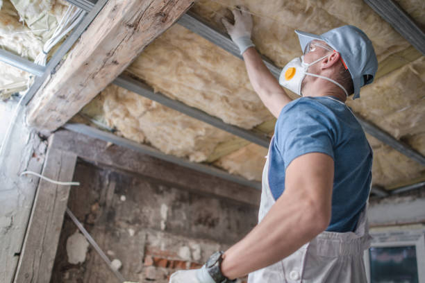 Best Insulation Maintenance and Repair in Hurlburt Field, FL